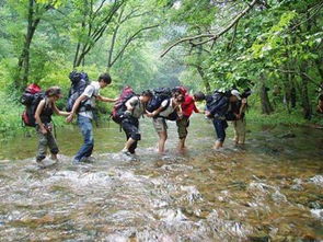 戶外運(yùn)動(dòng)知識(shí)寶典 從入門到精通，探索自然與自我